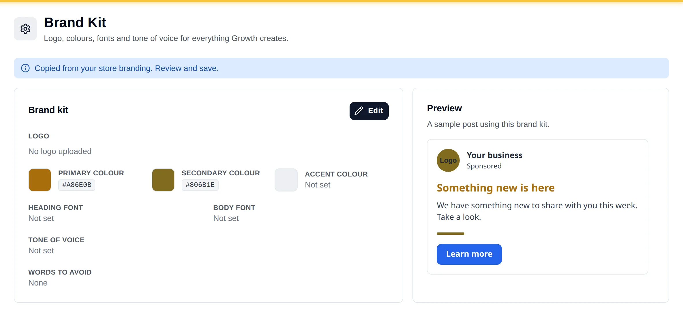 The Brand Kit section on first open. A blue message reads Copied from your store branding. Review and save. The Brand kit card shows a primary and a secondary colour and Not set for everything else, and the Preview uses those two colours